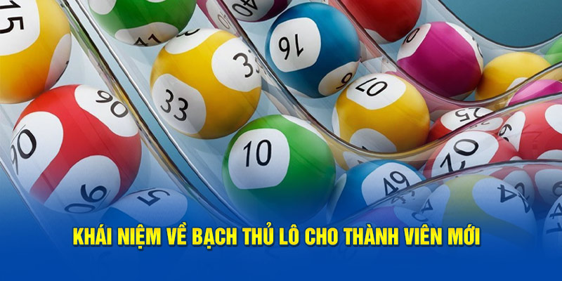 Khái niệm về bạch thủ lô là gì cho thành viên mới