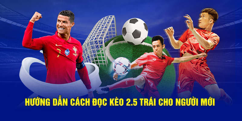 Hướng Dẫn Cách Đọc Kèo 2.5 Trái Cho Người Mới Tại QH88