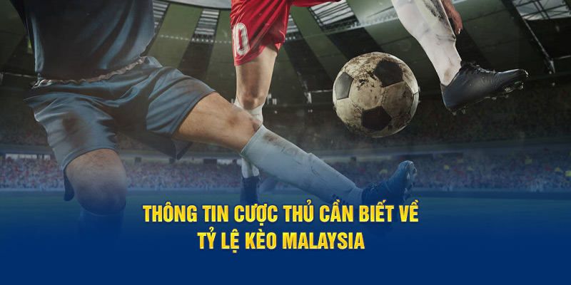 Thông tin cược thủ cần biết về tỷ lệ kèo Malaysia